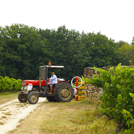 Vente de vin à Bergerac (24)