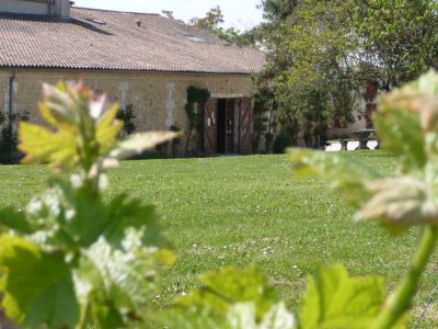 Domaine viticole à Bergerac en Dordogne (24)